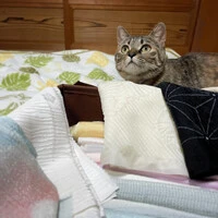 画像326