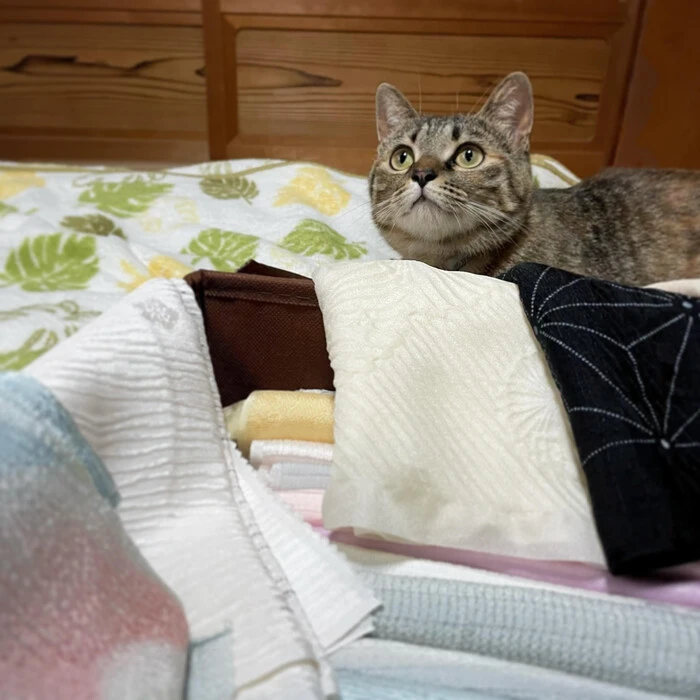画像326