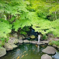 画像340