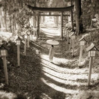 画像428