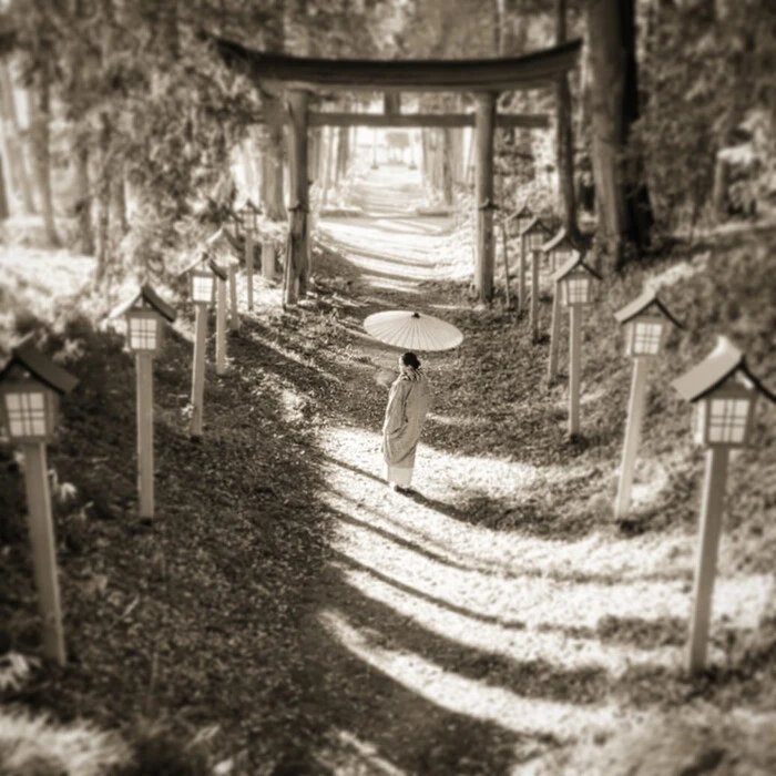 画像428