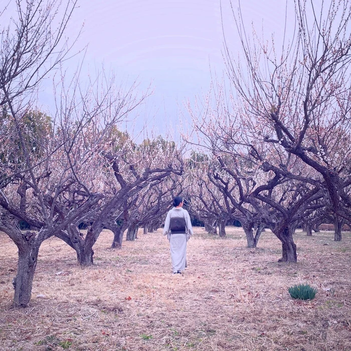 画像437
