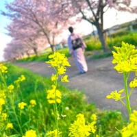 画像485