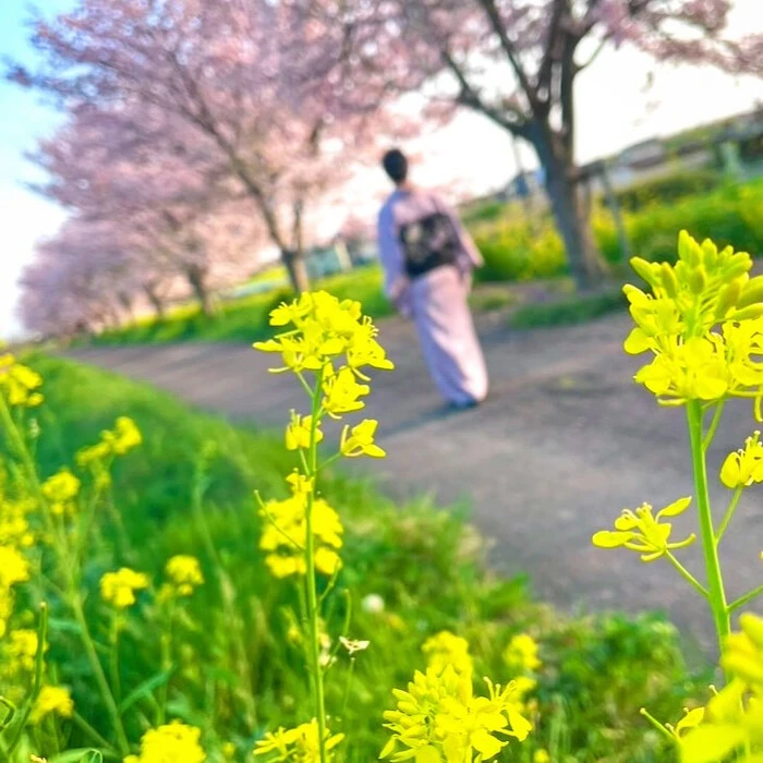 画像485